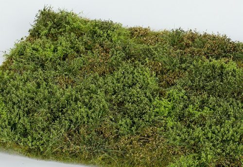 Model Scene F571 Wild area with bushes - spring - Bokros terület - tavasz