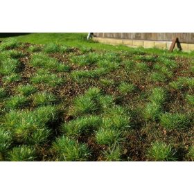   Model Scene F600 Forest base - dense forest - Fűlap, erdei talaj, sűrű erdőhöz