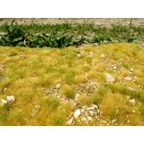   Model Scene F713 Late summer, little calc stones - Fűlap mészkövekkel, késő nyári