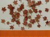 Model Scene L8-201 Maple - dry leaves (red colour) 1:72/87 - Piros juharfalevelek, őszi 1/72, 1/87