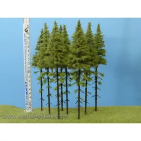   Model Scene MK200 Larch with trunk 180-220 mm (5x) - Magasnövésű fenyőfa, 180-220 mm (5 db)