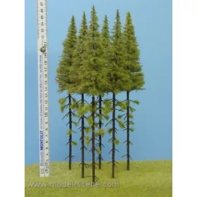   Model Scene MK250 Larch with trunk 230-270 mm (5x) - Magasnövésű fenyőfa, 230-270 mm (5 db)