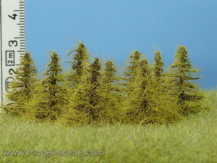 Model Scene MO034 Larch Autumn 25-35 mm (8x) - Fenyőfa, őszi 25-35 mm (8 db)