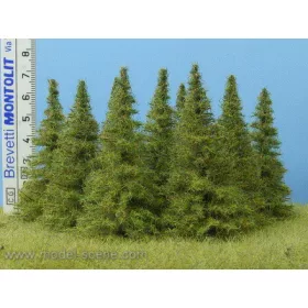   Model Scene MO070 Larch 65-80 mm (7x) - Fenyőfa, 65-80 mm (7 db)