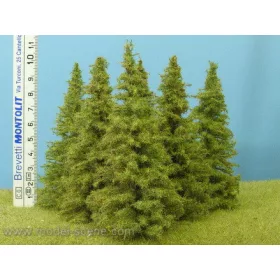 Model Scene MO100 Larch 90-110 mm (6x) - Fenyőfa (6 db)