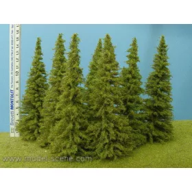   Model Scene MO150 Larch 140-160 mm (3x) - Fenyőfa, 140-160 mm (3 db)