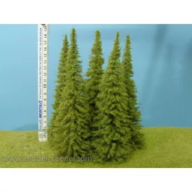   Model Scene MO200 Larch 180-220 mm (3x) - Fenyőfa, 180-200 mm (3 db)