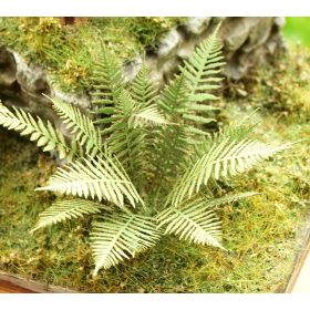 Model Scene VG3-001 Fern 1:32 / 1:35 - Erdei páfrány