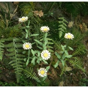 Model Scene VG3-046 Daisy 1:32 / 1:35 - Margaréta