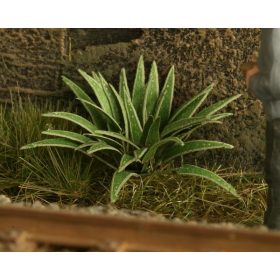   Model Scene VG4-006 Hart's-tongue 1:48 / 1:56 - Szarvasnyelv