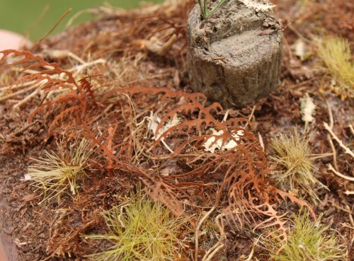 Model Scene VG7-017 Dry fern 1:72 / 1:87 - Elszáradt erdei páfrány