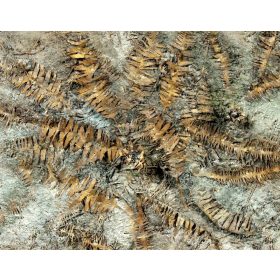   Model Scene VG7-040 Dry Banana leaves 1:72 / 1:87 - Elszáradt banánlevelek