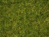 Noch 07076 Szórható fű: Master nyári legelő, 100 g, 2,5-6 mm szálhosszúság