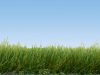 Noch 07093 Szórható fű: Wildgras májusi zöld, 100 g, 6 mm szálhosszúsággal