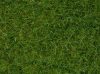 Noch 07102 Mezei fű, Wildgras világoszöld színben, 50 g, 6 mm szálhosszúsággal
