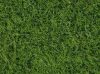Noch 07104 Mezei fű, Wildgras zöld színben, 50 g, 6 mm szálhosszúsággal