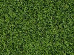 Noch 07104 Mezei fű, Wildgras zöld színben, 50 g, 6 mm szálhosszúsággal