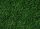 Noch 07106 Mezei fű, Wildgras sötétzöld színben, 50 g, 6 mm szálhosszúsággal