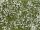 Noch 07256 Téphető talajtakaró - virágos mező - fehér, 12 x 18 cm