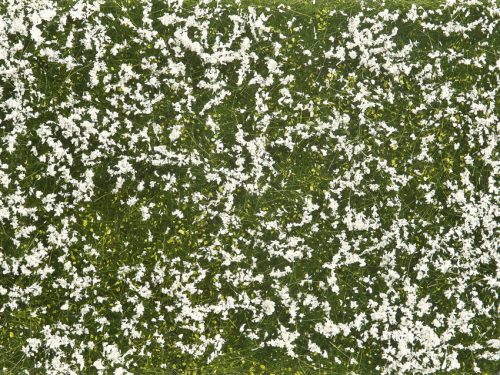 Noch 07256 Téphető talajtakaró - virágos mező - fehér, 12 x 18 cm