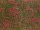 Noch 07257 Téphető talajtakaró - virágos mező - piros, 12 x 18 cm