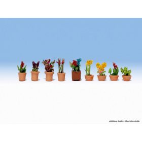   Noch 14080 Laser-Cut mini: Dísznövények kicsi virágládában, 9 db (N)