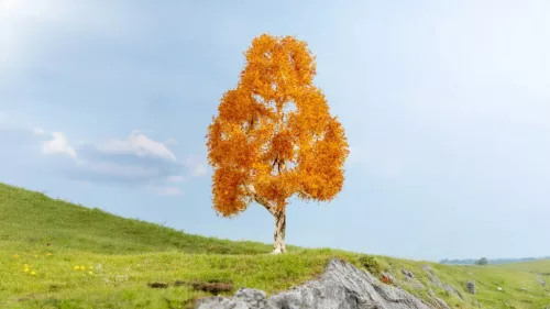 Noch 20129 Őszi nyírfa, 21 cm (H0,TT)