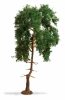 Noch 20140 Erdei fenyőfa, 15 cm (H0,TT)