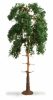 Noch 20141 Erdei fenyőfa, 18 cm (H0,TT)