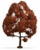 Noch 20150 Vörös bükkfa, 15 cm (H0,TT)