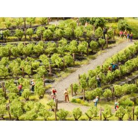 Noch 21545 Szőlőtőkék, 24 db, 1,6 cm magas (TT,N)