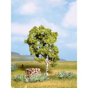 Noch 21640 Nyírfa, 11,5 cm (H0,TT,N)