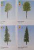 Noch 25962 Lombos fa és fenyőfa (talp nélkül), 100 db (H0,TT,N)