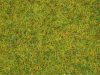 Noch 50190 Szórható fű - nyári mező, 2,5 mm szálhosszúság, 100 g
