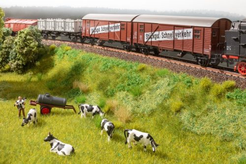 Noch 60775 Vegetations-Startset: Vasúti töltés aljnövényzet szóróanyag