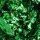 Pentart 40101 Színes fólia pehely min. 1 g, zöld