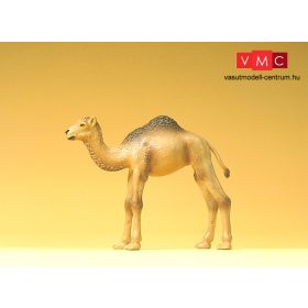 Preiser 47532 Egypúpú tevecsikó, dromedár (1:25)