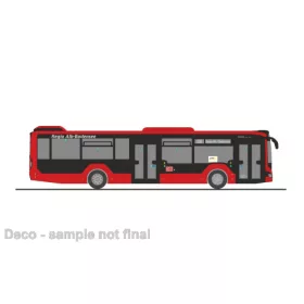   Rietze 75377 MAN Lion's City 12 2018 városi autóbusz, Regio-Alb-Bodensee (264951) (H0)
