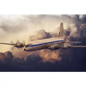 Roden 326 Bristol 175 Britannia African Safari (1/144)