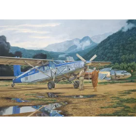 Roden 440 Pilatus PC-6C/H-2 Turbo-Porter (1/48)
