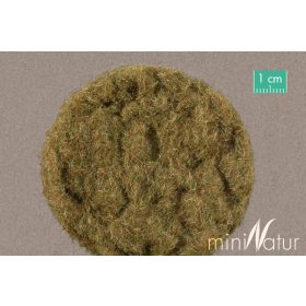 Silhouette 012-39 Szórható fű - 12 mm, Széna, 50 g