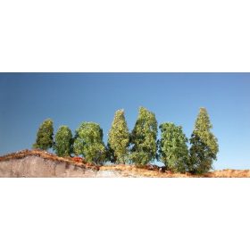 Silhouette 100-12 Díszbokor (6 db) - 10-13 cm, Nyár (N)