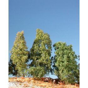 Silhouette 200-12 S Díszbokor (1 db) - 10-13 cm, Nyár (H0)