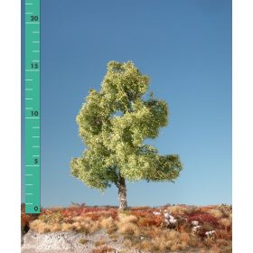   Silhouette 210-01 Mocsári nyírfa (2 db) - kb. 8 cm, Tavasz (H0)