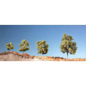   Silhouette 210-02 Mocsári nyírfa (2 db) - kb. 8 cm, Nyár (H0)