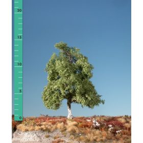   Silhouette 210-12 Mocsári nyírfa (1 db) - 10-13 cm, Nyár (H0)