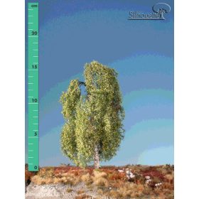   Silhouette 211-21 Csüngő nyírfa (1 db) - 15-20 cm, Tavasz (H0)