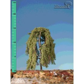   Silhouette 211-22 Csüngő nyírfa (1 db) - 15-20 cm, Nyár (H0)