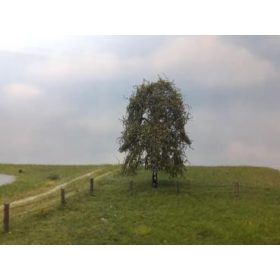   Silhouette 211-63 Csüngőnyírfa, kora ősz / Profiline - TT, N, Z (8cm)