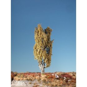   Silhouette 213-14 Jegenyenyárfa (2 db) - 10-13 cm, Késő-ősz (H0)